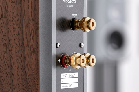 Audiovector R1 Arrete, detail