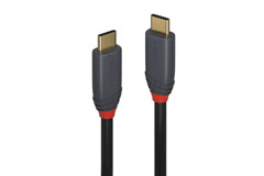 Synlig konvertering utilsigtet Lindy Anthra Hi-speed USB-C cable (USB C – USB A male)