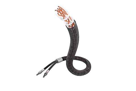 No picture available