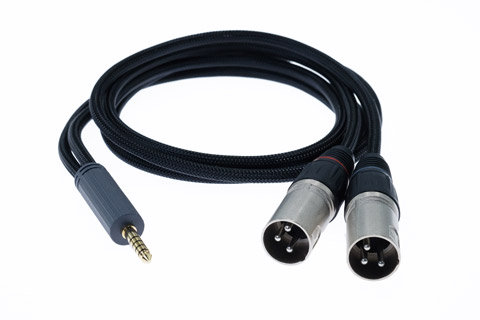 iFi Audio Standard balanced 4.4mm to XLR jack stereo audio cable SE