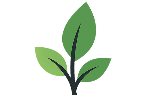 Sustainability
