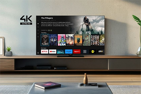 Panasonic 4k LED Google TV, W61 Series - Lifestyle