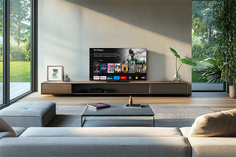 Panasonic 4k LED Google TV, W61 Series - Lifestyle