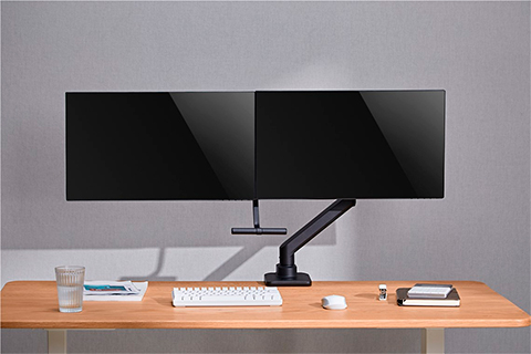 Dual Monitor Mount for Office - Lifestyle