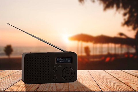 Imperial DABMAN Portable radio (BT) - Lifestyle