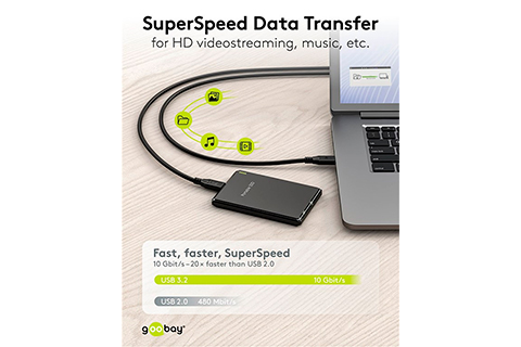 USB-C Cable (100W, 10 Gbps)