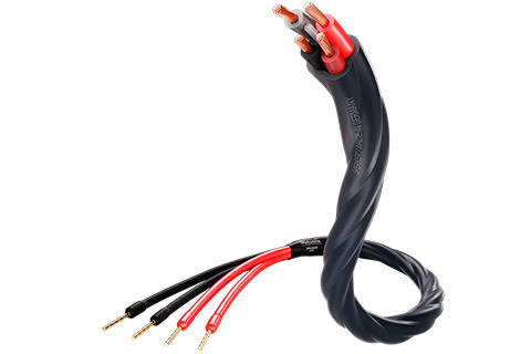 Inakustik Speaker 425 Bi-wire speaker cable with Easy Plug connector