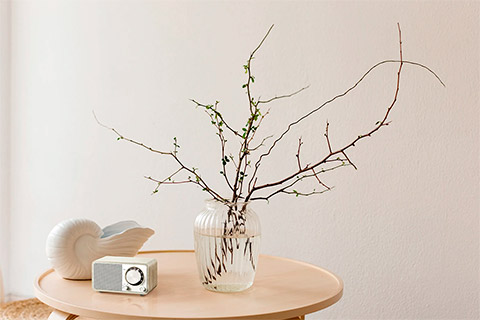 Sangean WR-7 PLUS Compakt Rechargeable portable radio with Bluetooth - Lifestyle