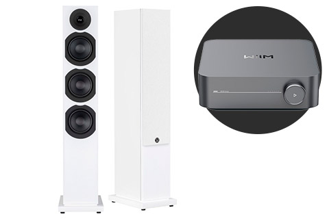 System Audio Saxo 60 floorstanding speaker incl. Wiim Amp