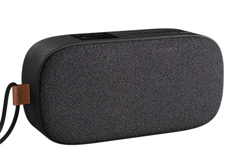 Go 300 Care Bluetooth Speaker with Radio