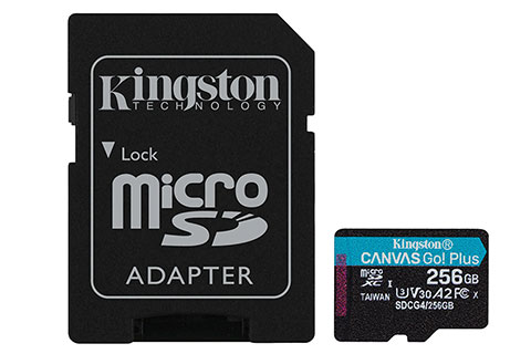Kingston Canvas Go! Plus Gen4 microSD card + SD adapter - 256 GB | 200MB/s