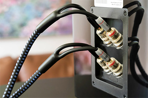 SVS SoundPath Ultra Bi-Wire Speaker cable - Lifestyle