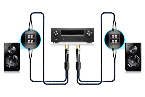 SVS SoundPath Ultra Bi-Wire Speaker cable - Diagram