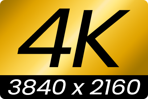 HDMI 2.0x | Premium Speed HDMI