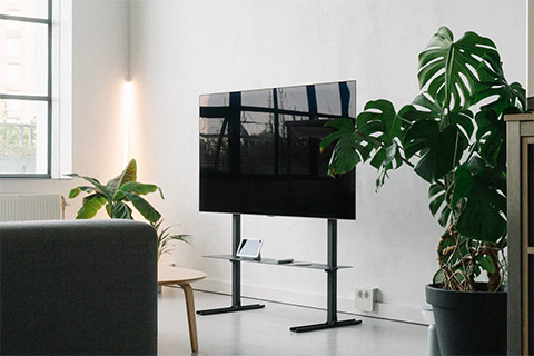 Pedestal Plate Shelf - Lifestyle