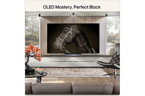 LG C65 OLED evo 4K Smart TV - Lifestyle