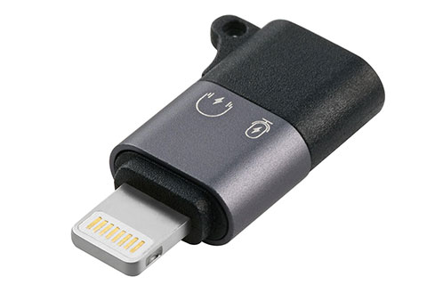USB C to Lightning Adapter | Lightning male – USB C female