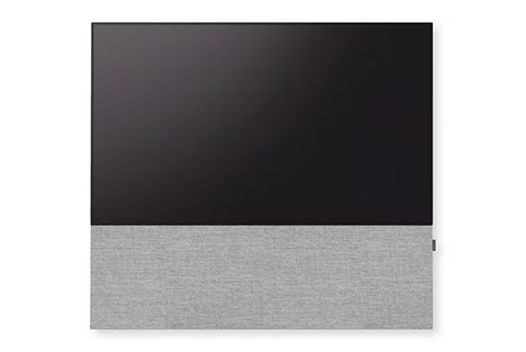 Canvas 55