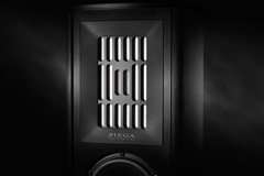 PIEGA Coax loudspeaker icon